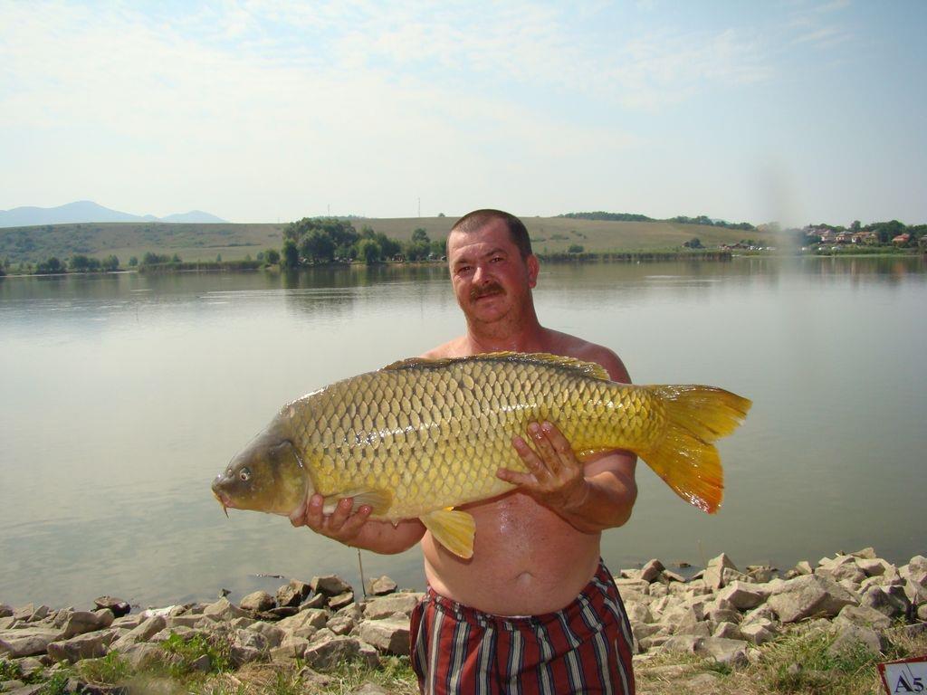 Cipibaits - 00106551.jpg